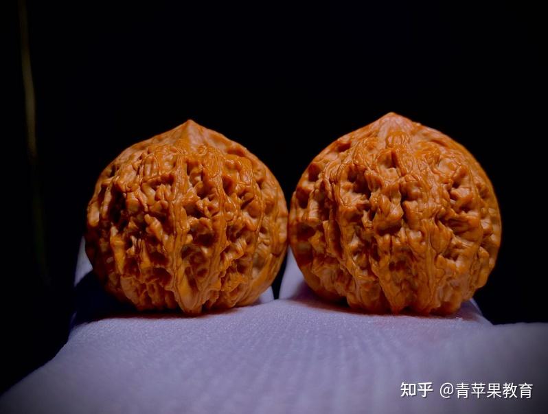 文玩核桃新品种龙峪狮子头