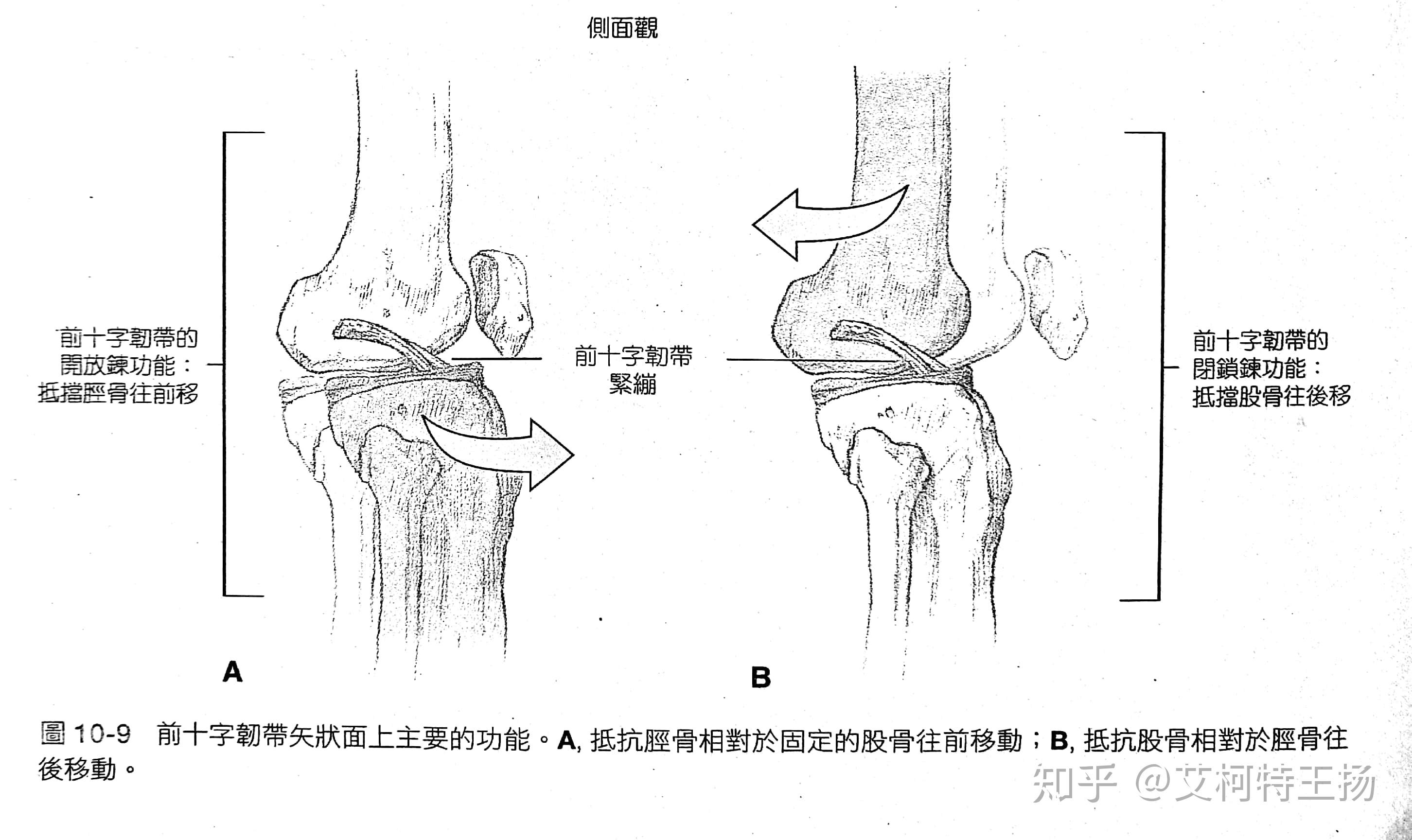 膝关节康复的常规训练方法
