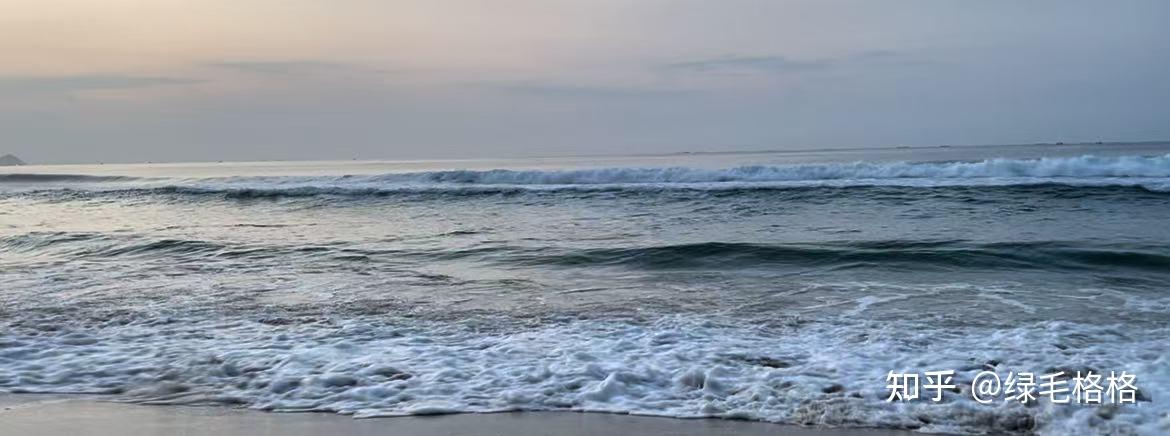 海运Laytime : wind wave(浪) 、swell(涌)和WWD - 知乎