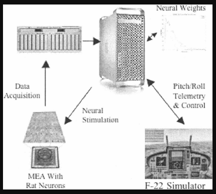 Cl1 System 第一个生物计算机CL1:是什么,为什么? - 知乎