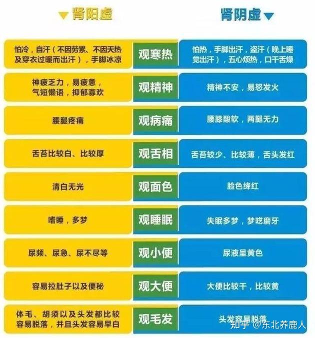 肾阳虚和肾阴虚怎样可以一起补? - 知乎