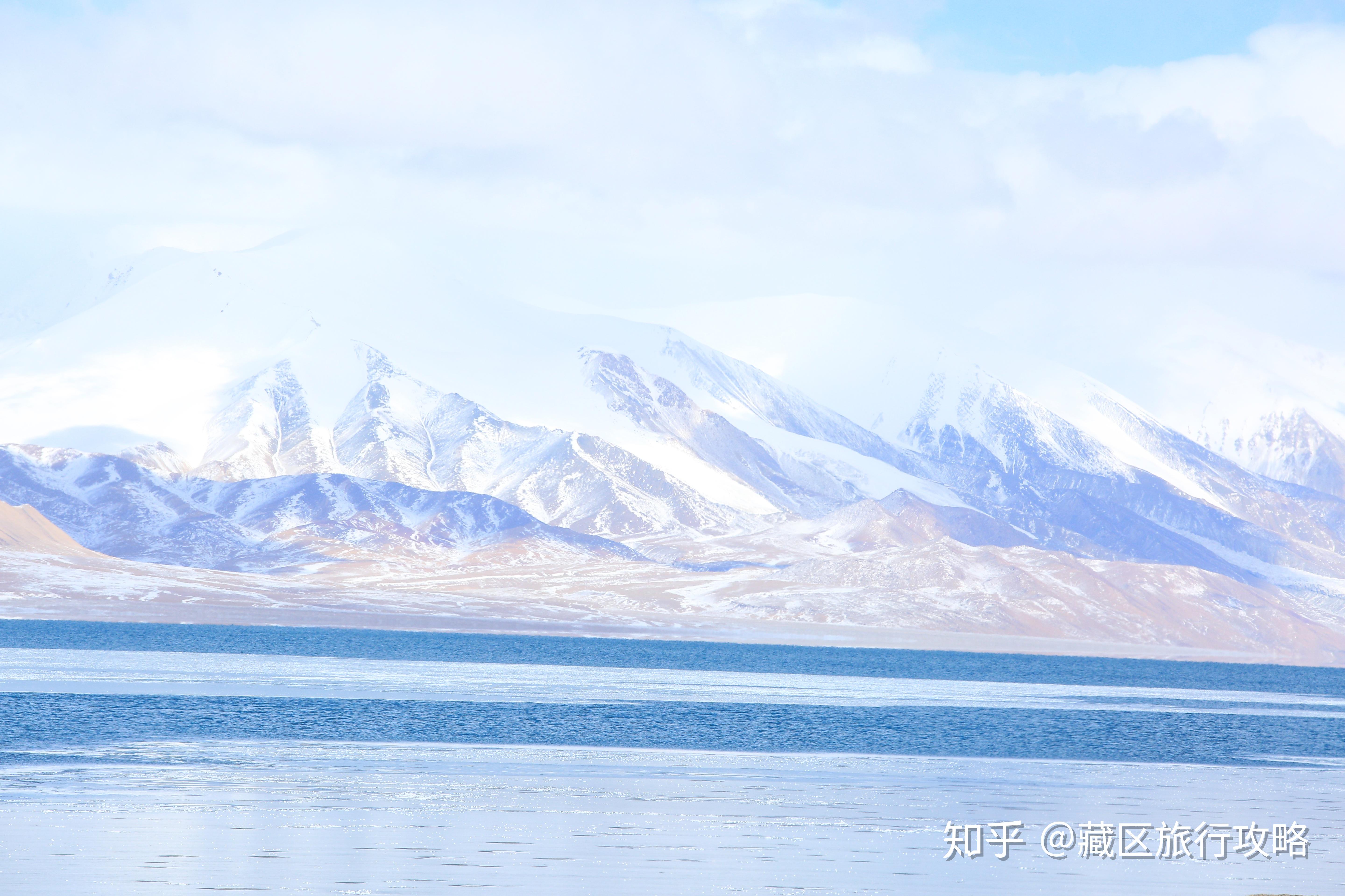 风雪冰河沼泽危机重重的可可西里却也生机勃勃