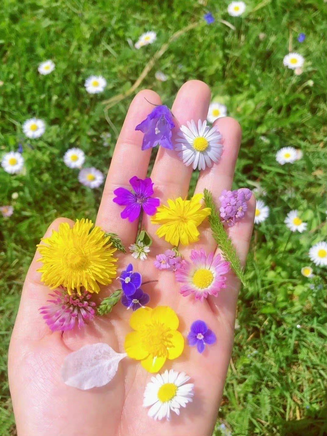 适合阶段性发圈的文案 - 知乎