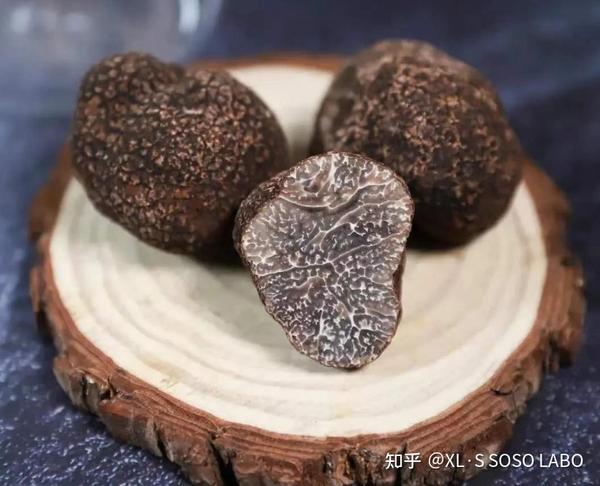 白松露护肤功效：解密珍贵的美肌奇迹 - 知乎