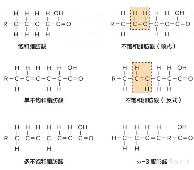 脂肪酸的分类