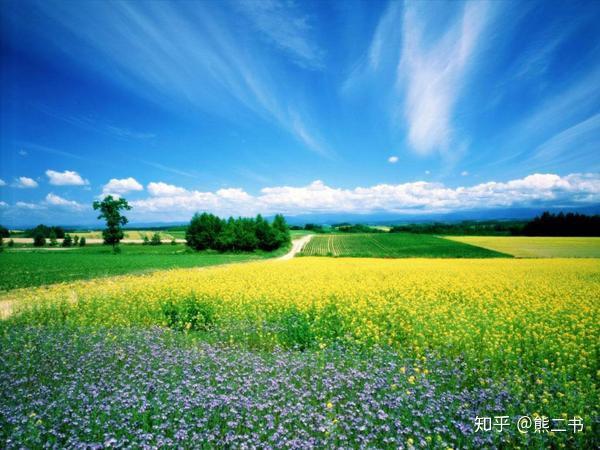 你知道为什么领导微信头像都是山水风景