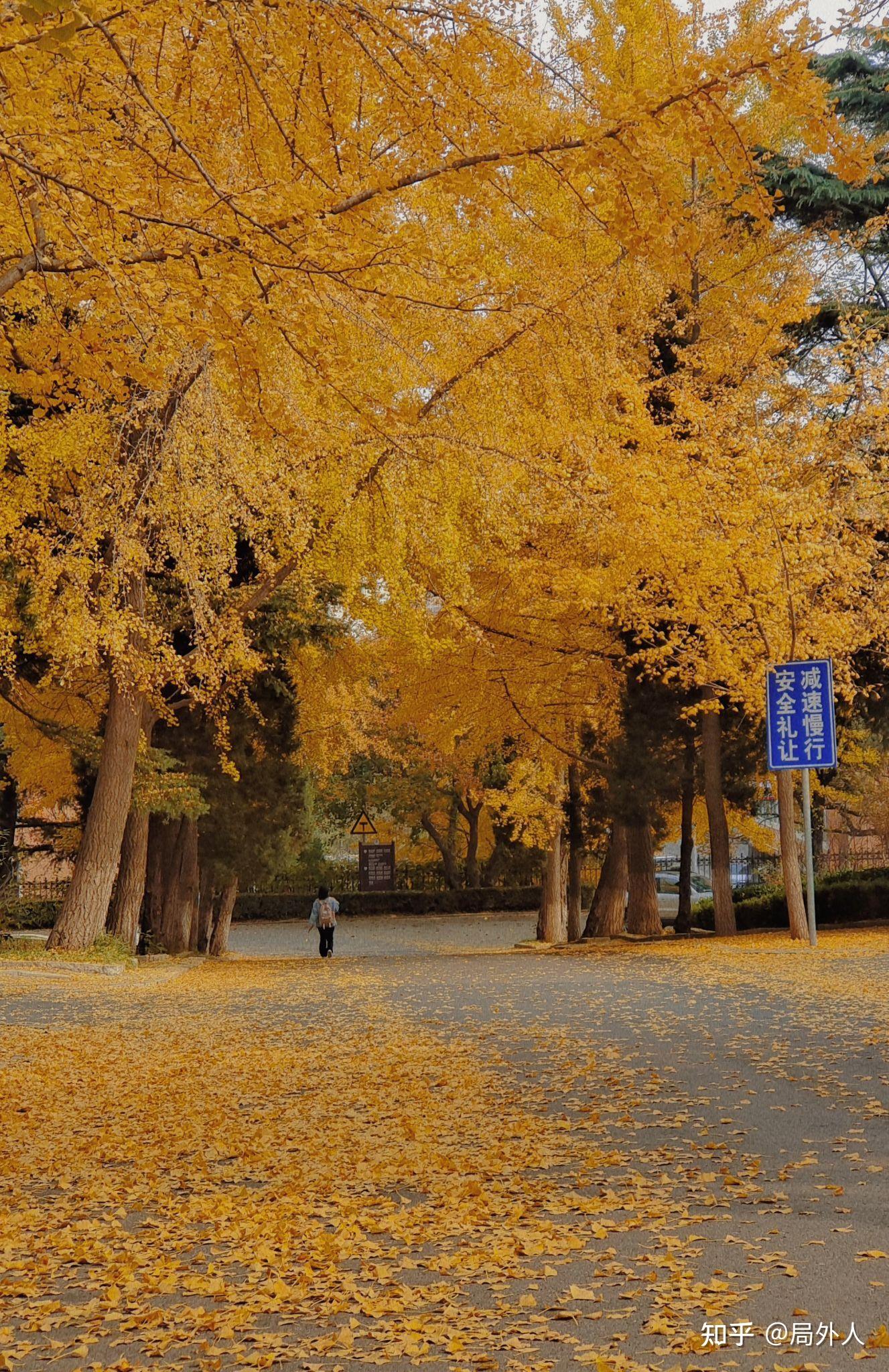 山東的財經類大學排名_山東財經大學全國綜合排名_山東財經大學全國排名