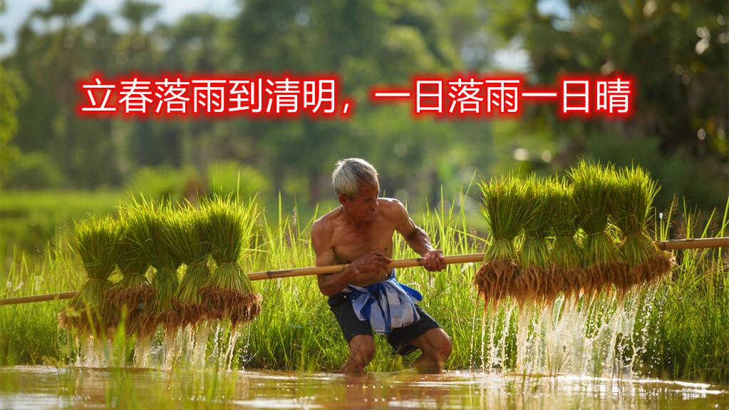 立春落雨到清明一日落雨一日晴农谚透露出不一样的旱情警惕