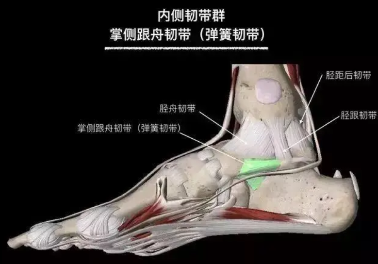 足弓塌陷治疗过程(2 知乎