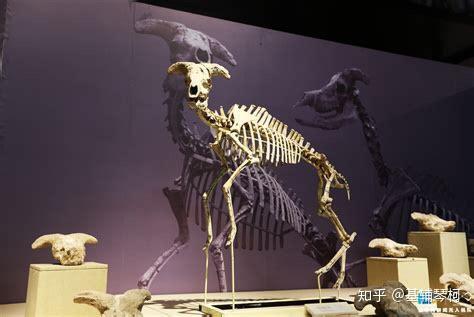 的大型狒狒,生存于上新世至更新世的南非,是由苏格兰古生物学家罗伯特