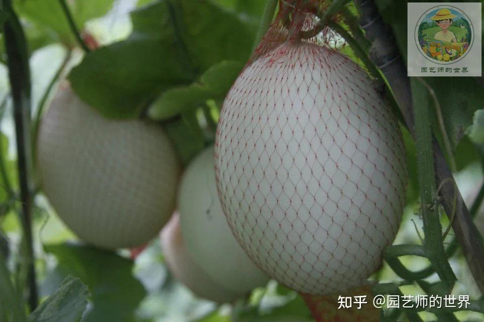 v2-7ec0f10ec6ac68754f9679a94f353c55_r.jpg