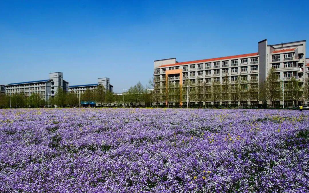 石家庄市裕翔街26号(专接本就读于新校区)02院校位置河北科技大学坐落