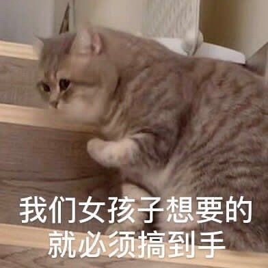 出门的文案沙雕,出门的文案沙雕搞笑