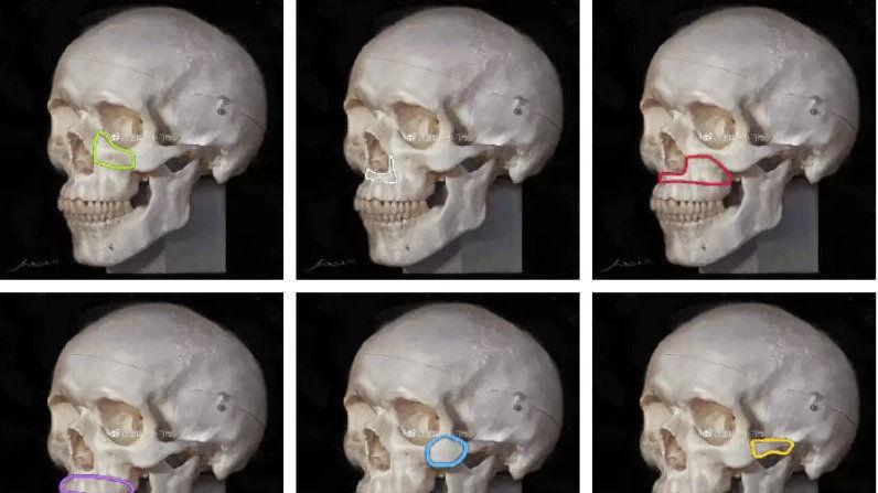 v2-7eef2eb5e7c000074a2b942b11e9a03e_1440w.jpg?source=172ae18b