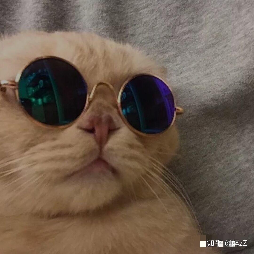 求带眼镜的猫咪头像?像这张图一样?
