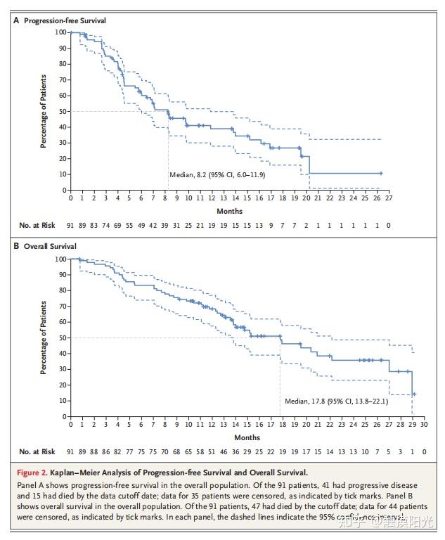 DS 8201 HER2 NSCLC 90 ds 8201 her2 nsclc 90