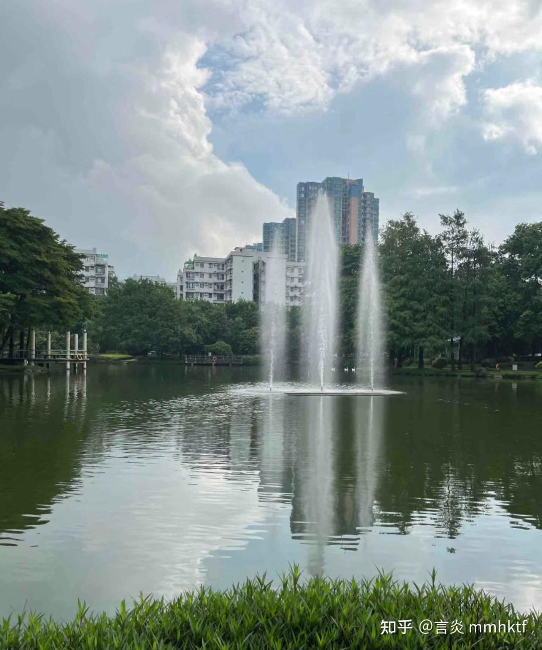 醉心湖公园实拍图4.