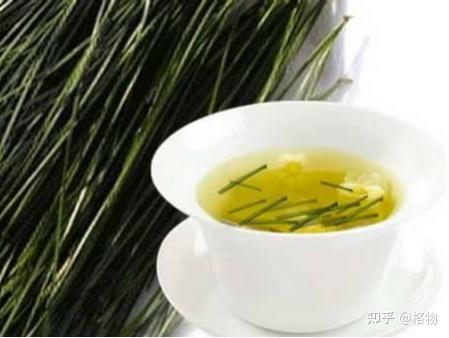 可制茶可入药可扎人——松针 - 知乎