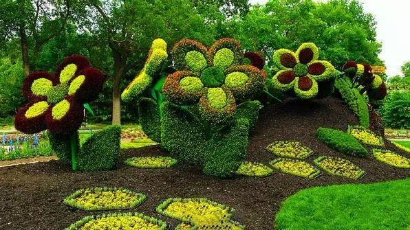 园艺专业培养具备生物学和园林艺术基本理论,知识和技能,能在农业