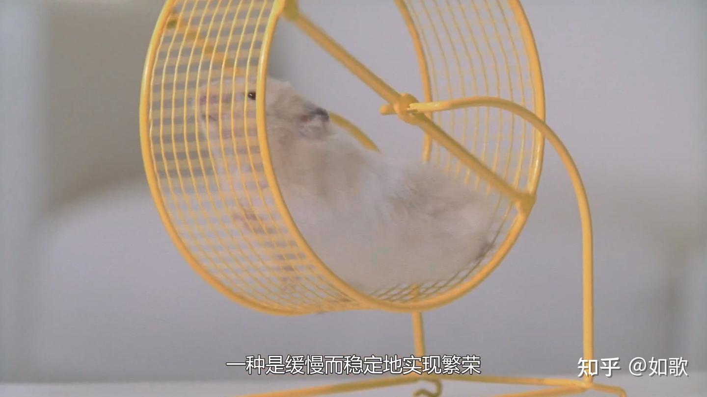 连刷3集看完2022年美国Netflix纪录片《散户大战华尔街：GameStop传奇》 - 知乎