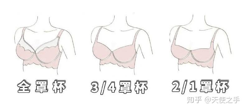按覆盖面积可分为全罩杯,3/4罩杯,1/2罩杯等.