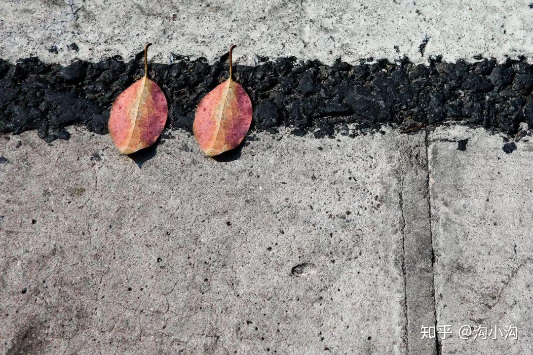 构图x构图 | rule of odds 小众的奇数法构图法 - 知乎