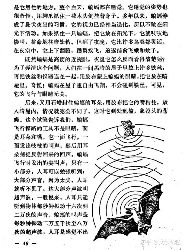 蝙蝠和雷达的编者意图图片