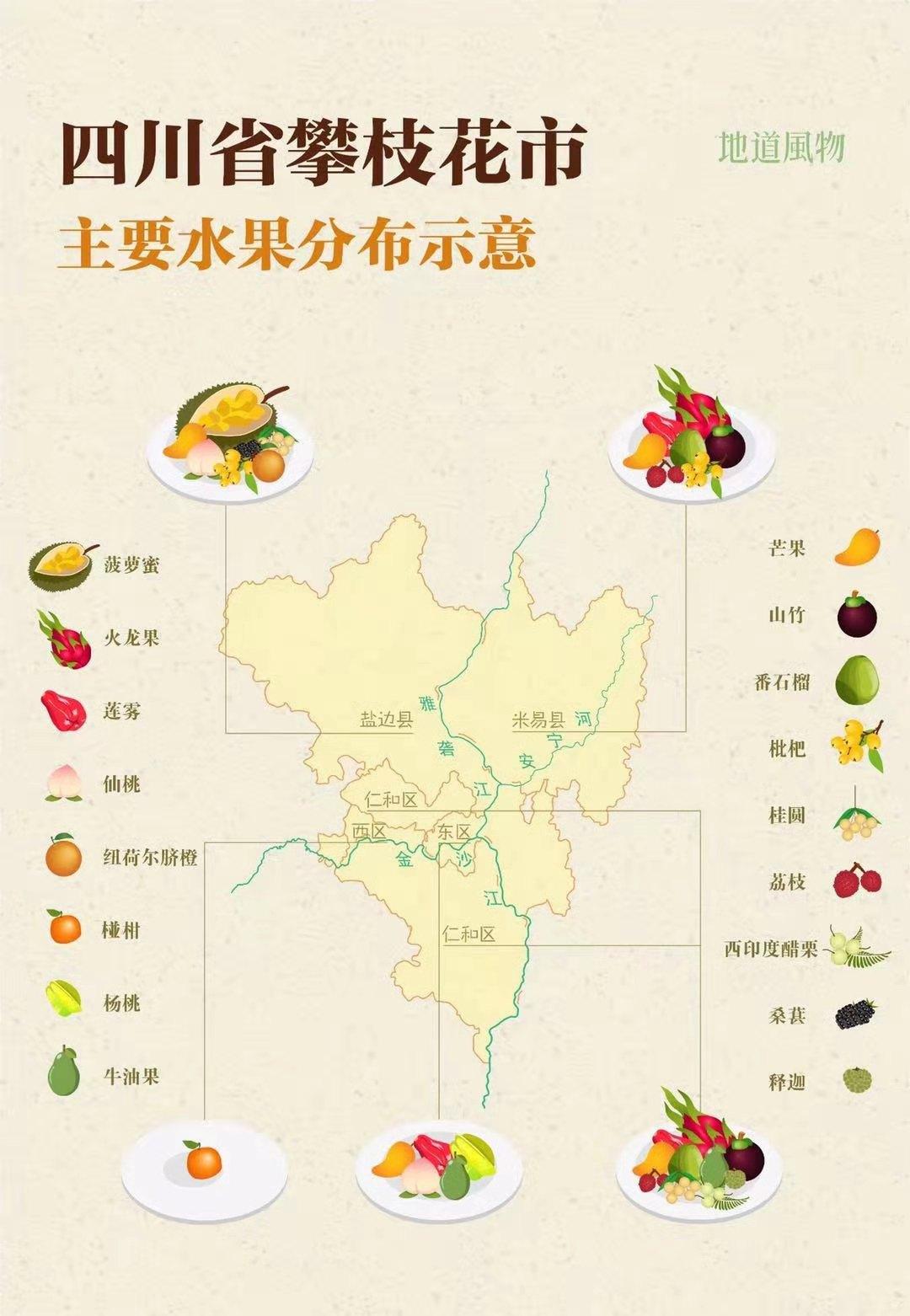 攀枝花除了是人们详知的钢铁之城还是四川唯一的亚热带水果生产基地