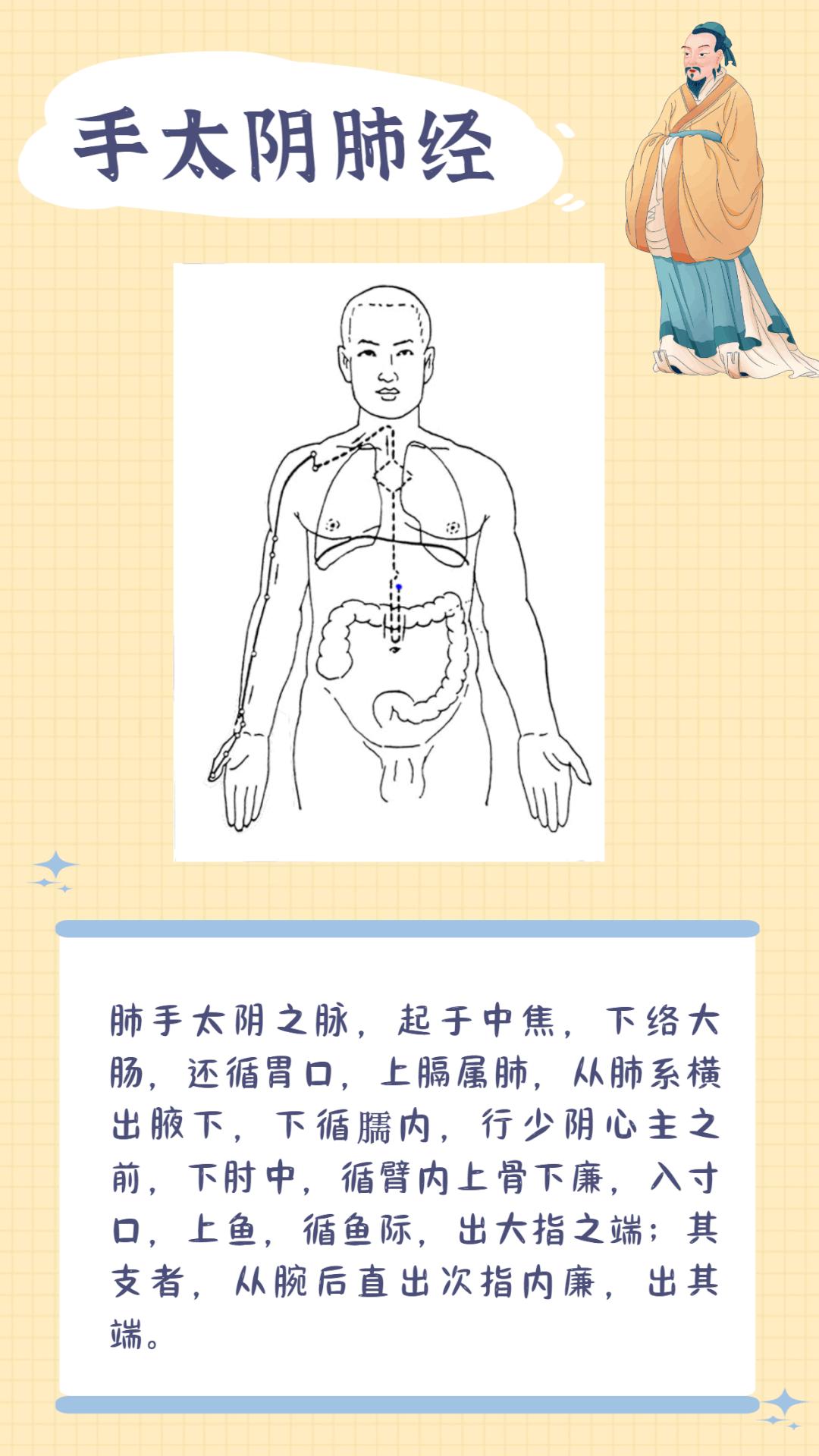 十二经脉笔记(干货) - 知乎