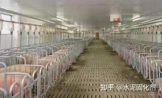 【养猪场猪场建设中的猪栏设计】新式猪栏设计有哪些优点和不足？ - 知乎