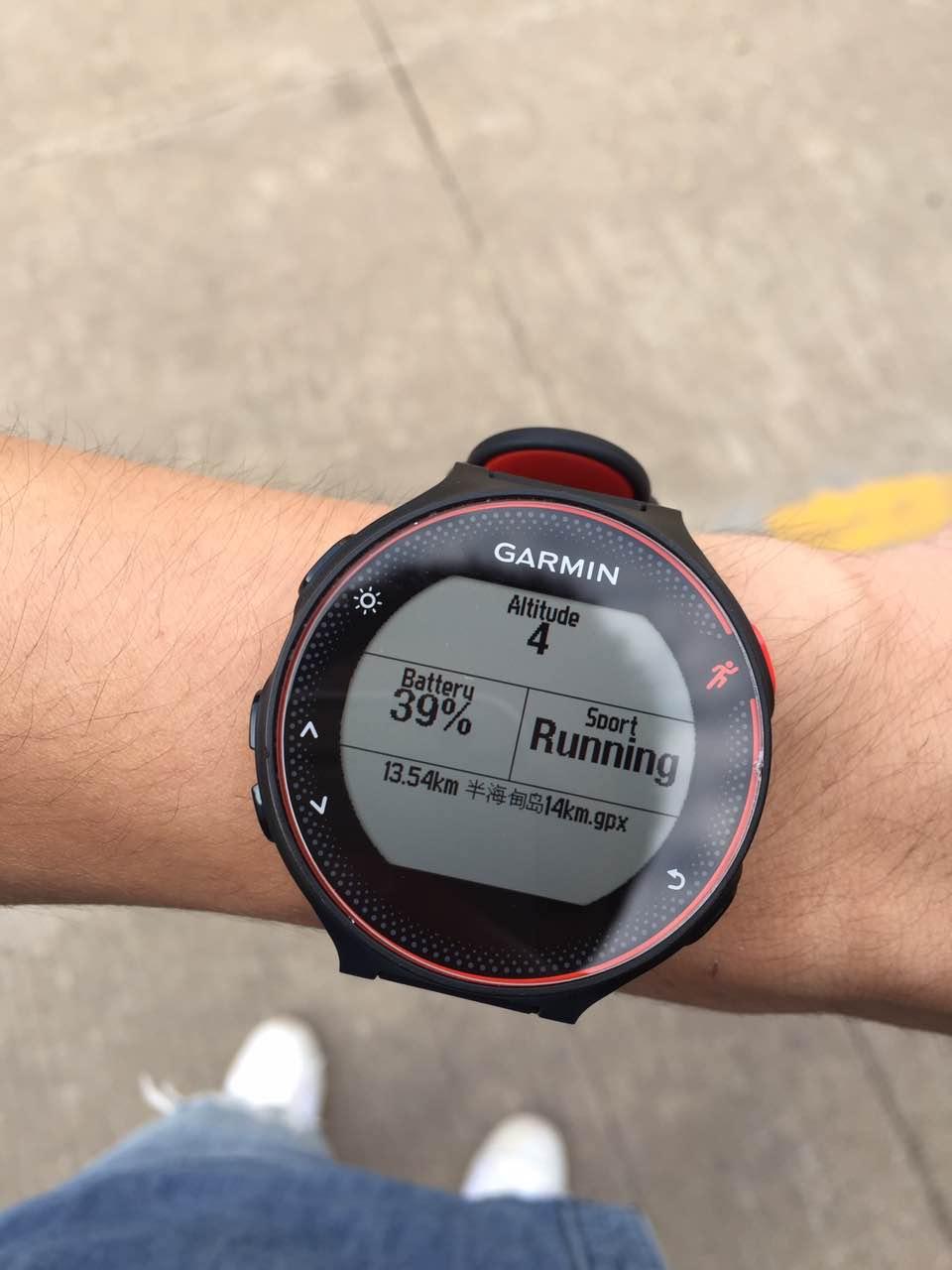 garmin dwmap