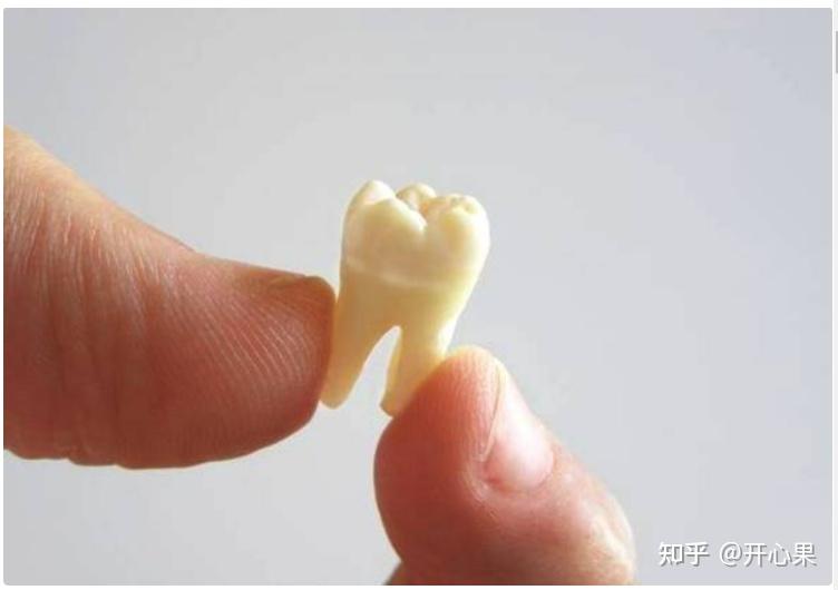 牙齿松动了怎么恢复这4招简单又有效