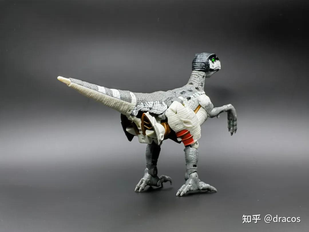 白色的迅猛龙——亚马逊限定王国钢锁开箱 - 知乎