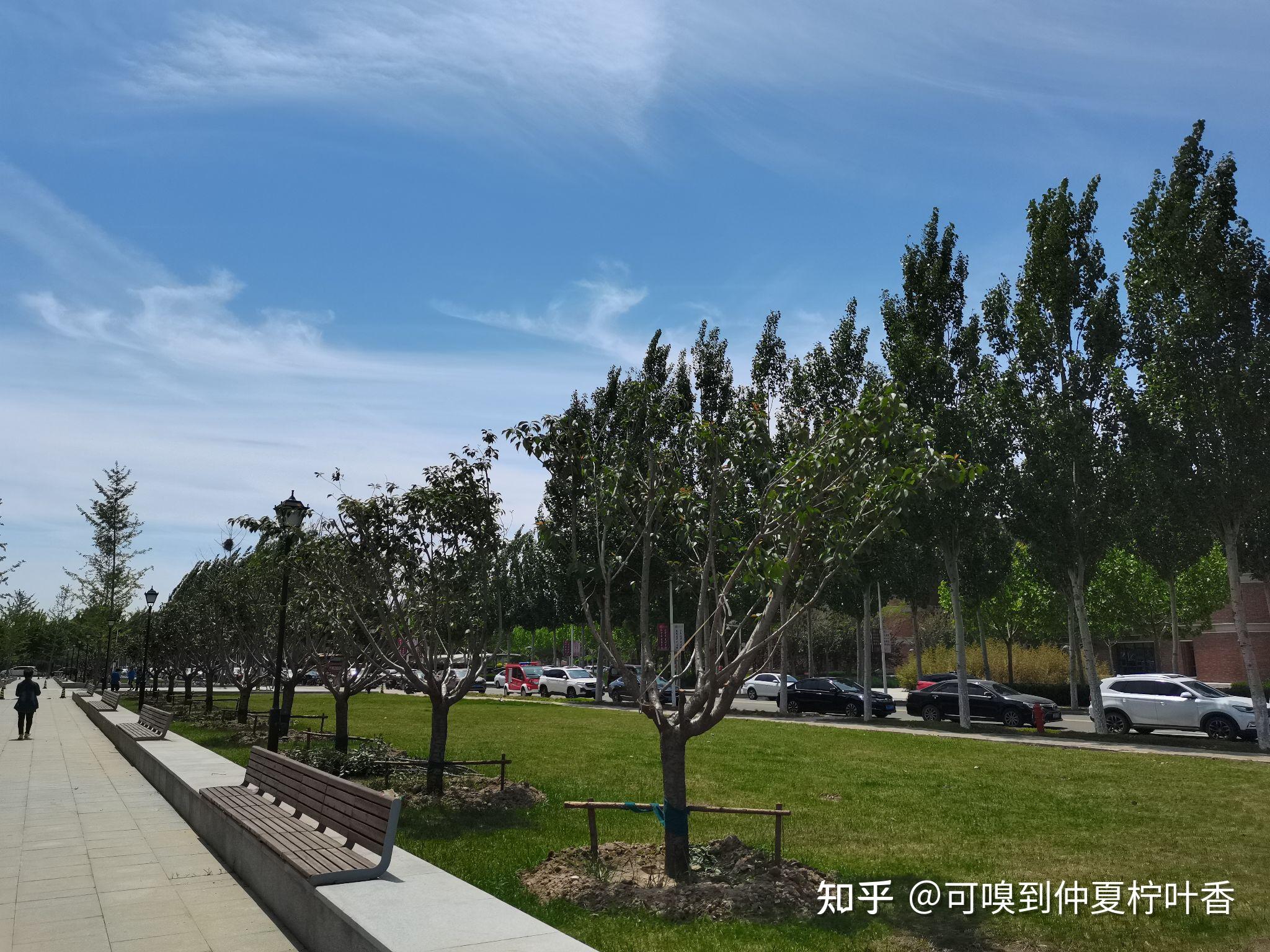 什么大学有交换生资格 v2-7fa38b60a22a5503428a03001ad08891_r.jpg
