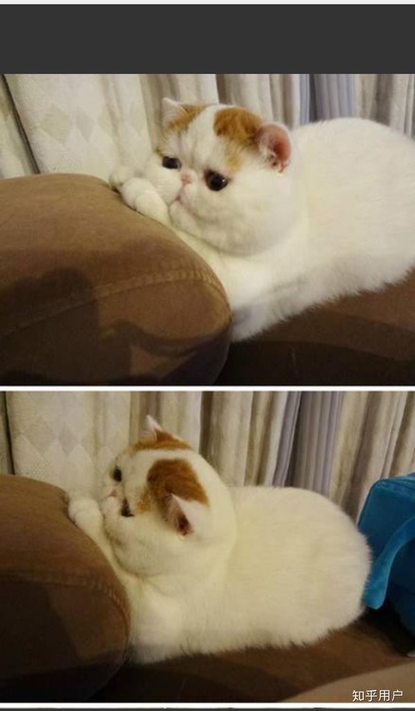 女生塌鼻子是一种什么体验?