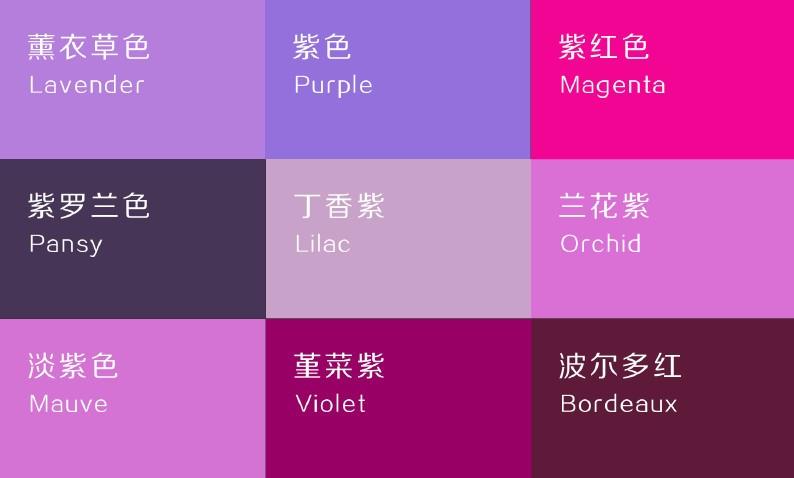 紫色明度色阶图片