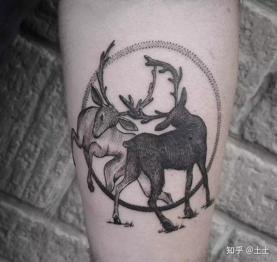 你们老说的小鹿乱撞到底是什么鹿在撞纹身图集