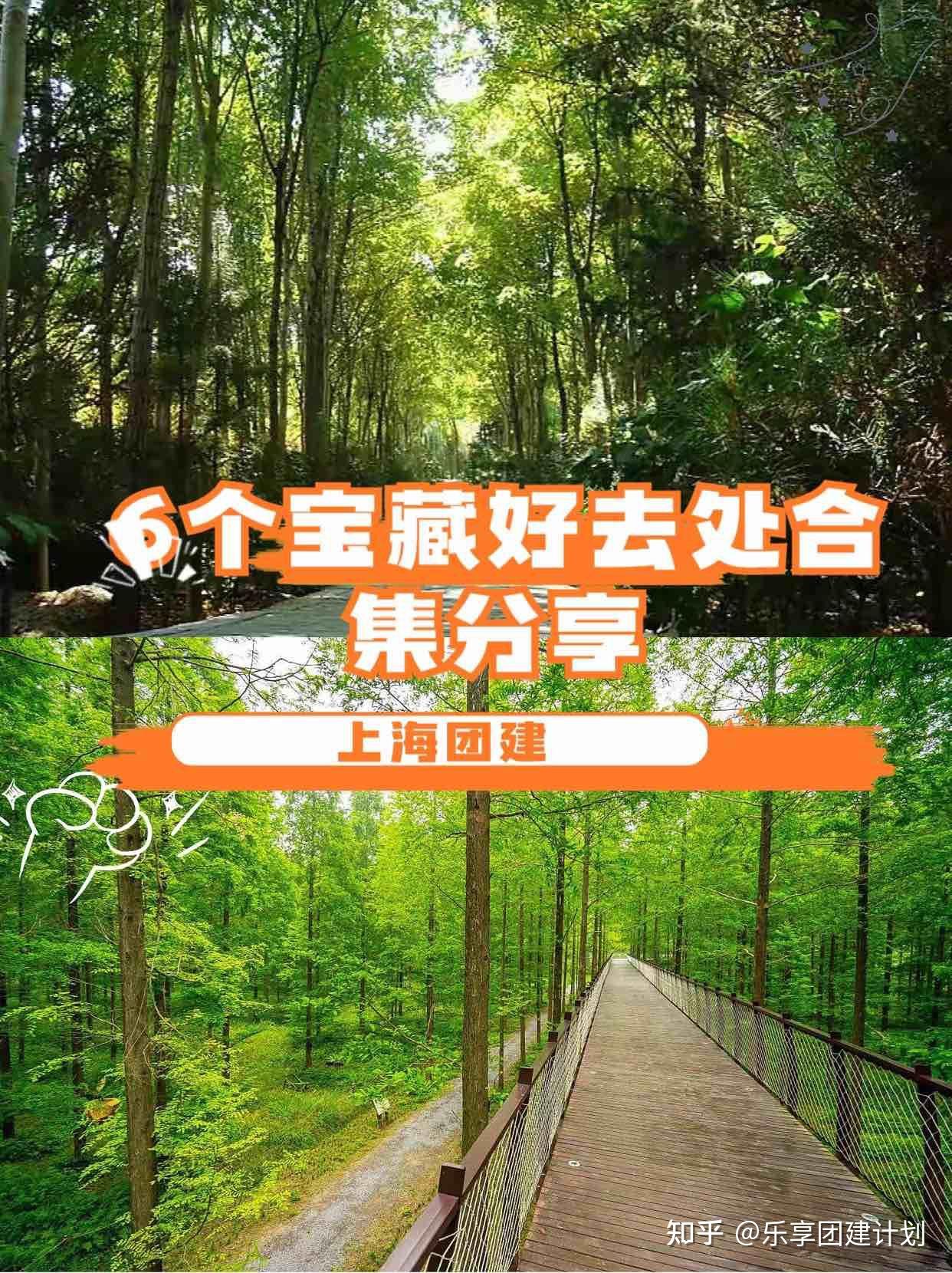 上海团建6个宝藏好去处合集分享+团建玩法推荐 - 知乎