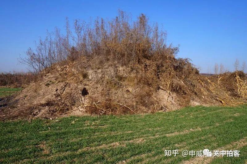 兴平市大姑村寻访东汉班昭墓