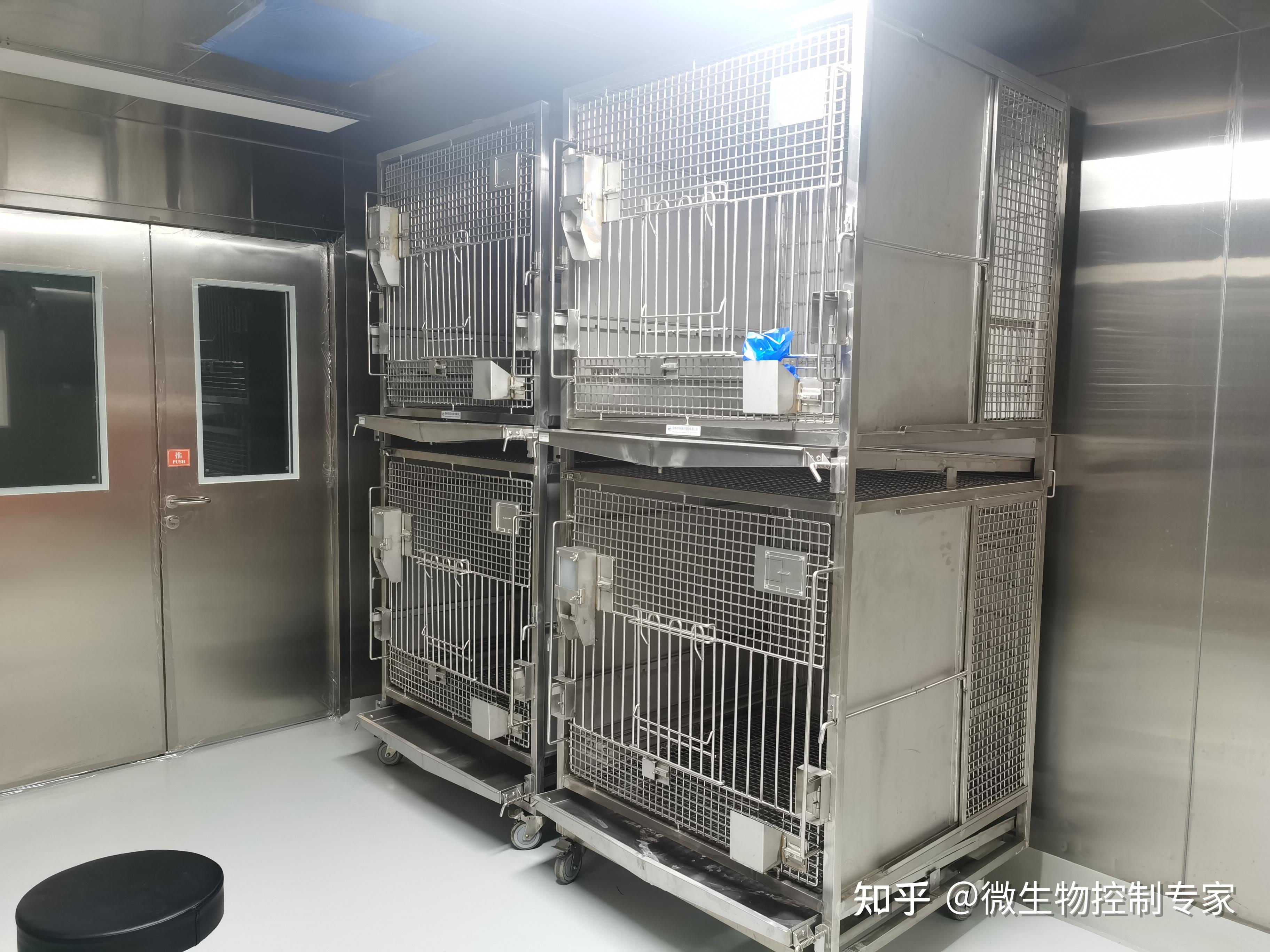 解析动物实验室消毒方式及消毒设备的应用