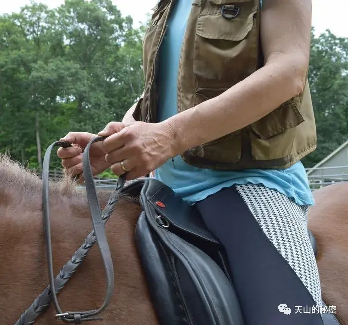 骑马缰绳该怎么拿