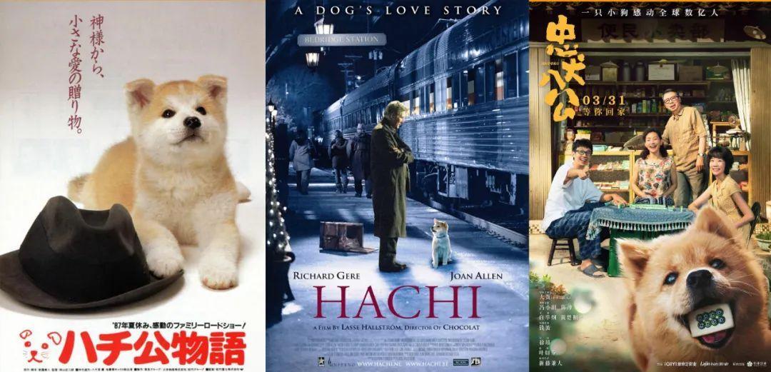 《忠犬八公》票房过亿,催泪的不仅是狗狗…… - 知乎
