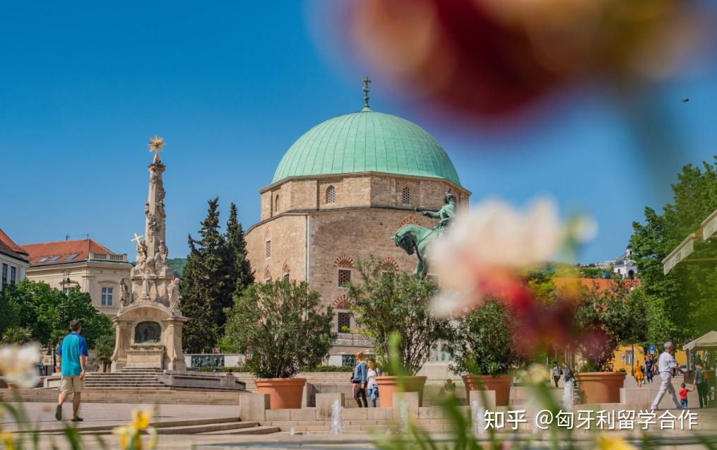 02佩奇大学2024年9月入学,申请截止日期2024年6月15日·药学专业,5年