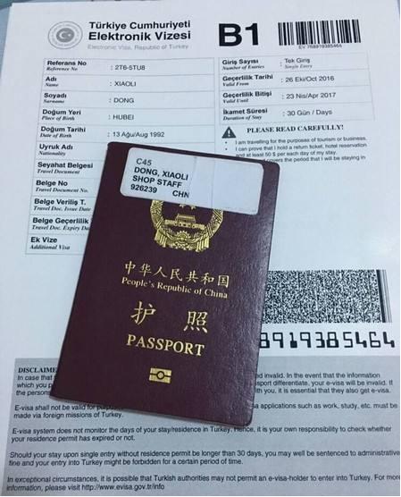 土耳其签证怎么办需要哪些材料我打算元旦去土国12天
