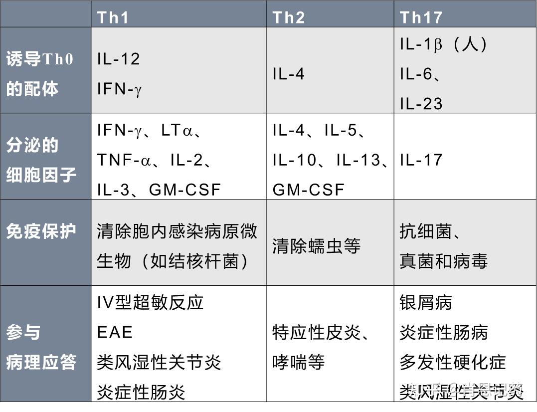 t細胞的發育醫學免疫學(第7版)第十章.