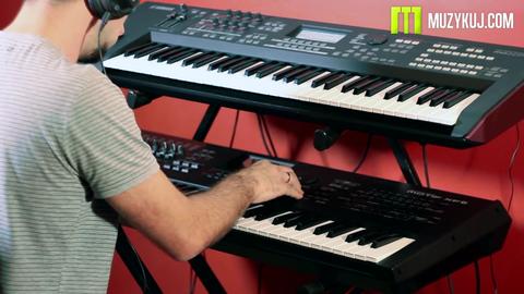 想买个电子琴,什么牌子的好?