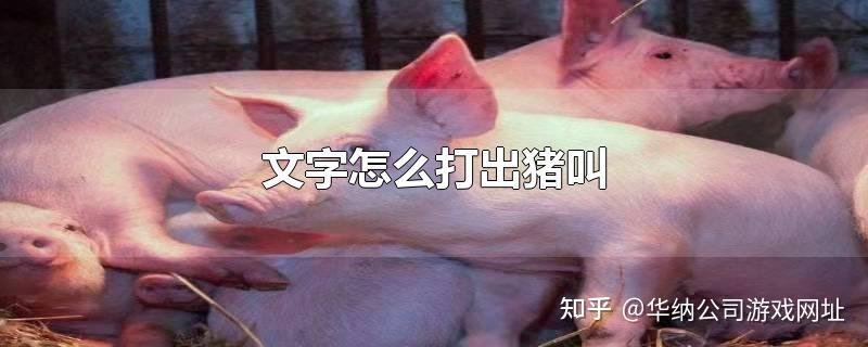 如何用语言发出猪叫声 - 知乎