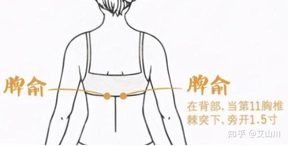 日常保健灸|冬季养生,多灸“智慧囊”脾俞穴 - 知乎