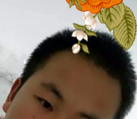 v2-804141669426a98beb9dee90c2ca1eb9_r.jpg