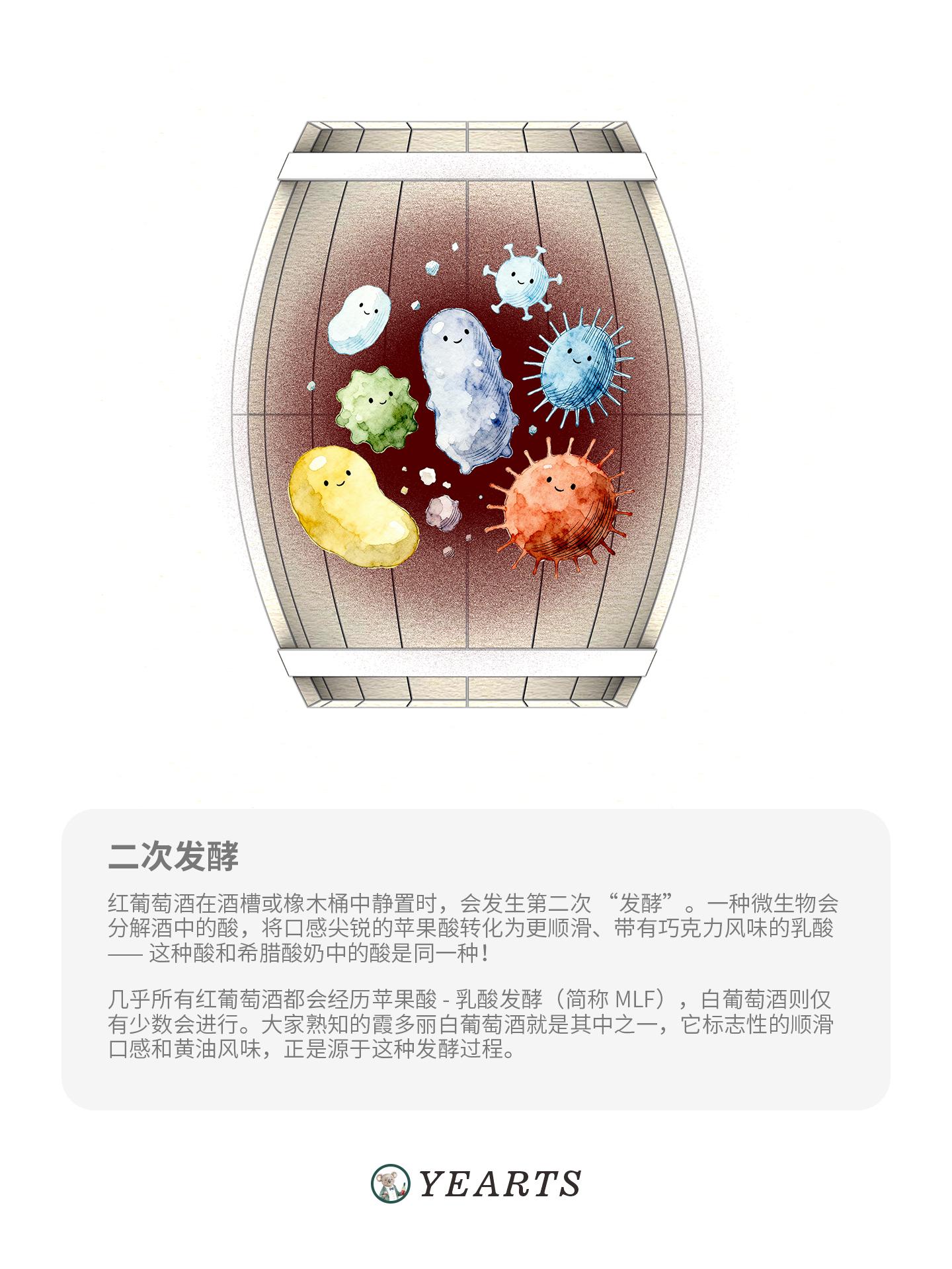 图片[6]-葡萄酒酿造步骤-yearts